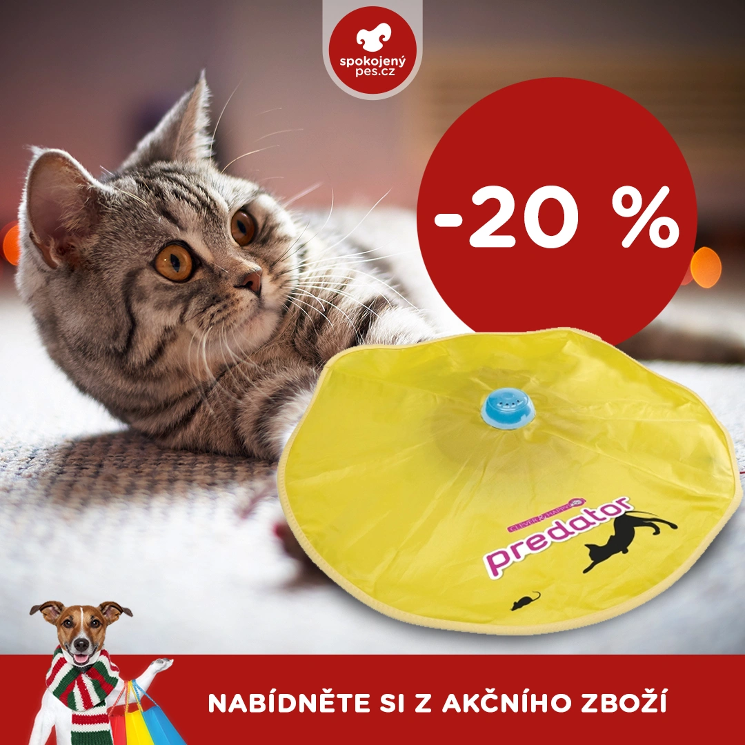 akční leden12.webp